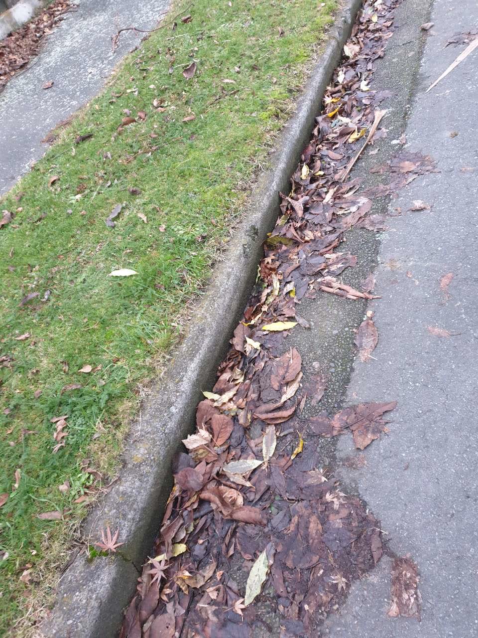 The photograph attached to this flooding report