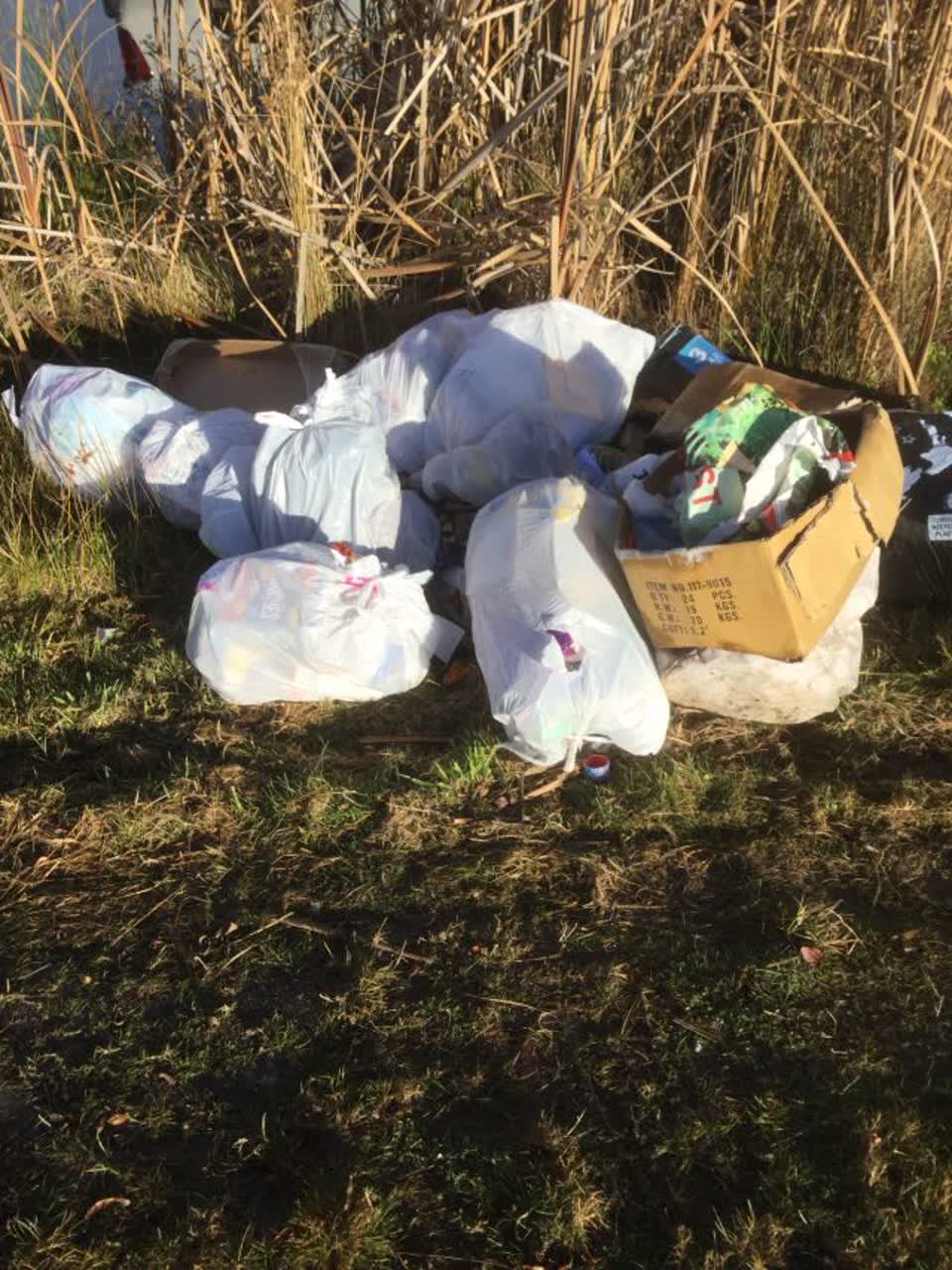 The photograph attached to this rubbish/recycling report