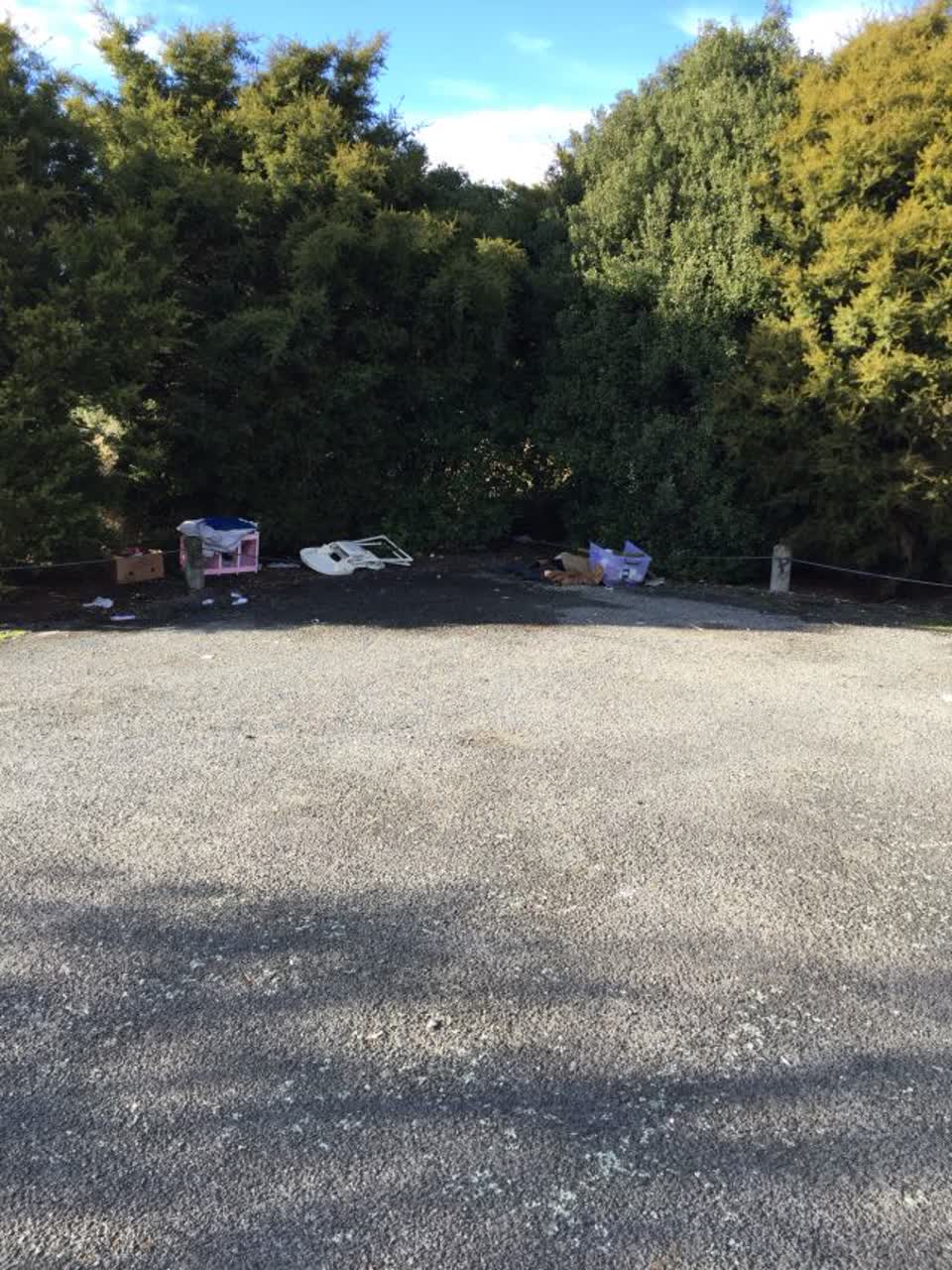 The photograph attached to this parks report