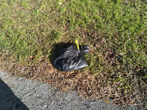 Rubbish/Recycling, a report photo