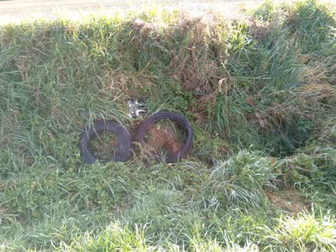 Rubbish/Recycling, a report photo