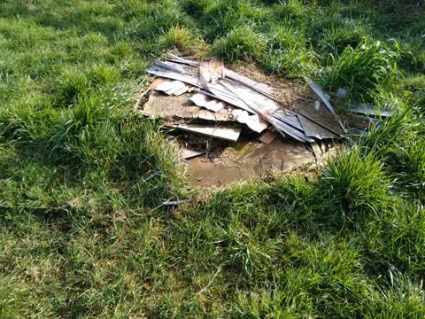 Rubbish/Recycling, a report photo