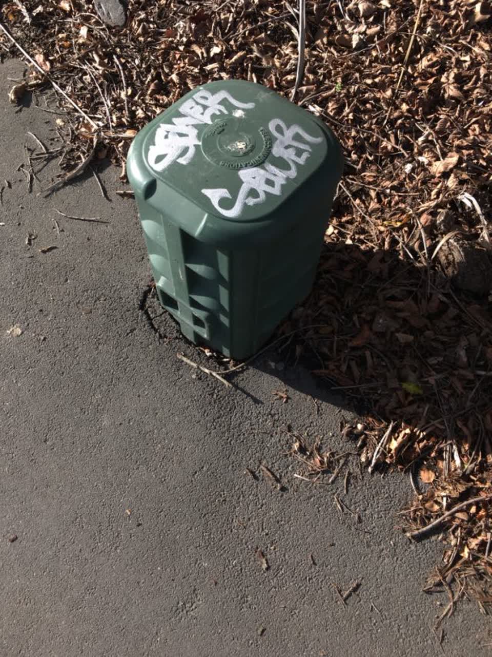 The photograph attached to this graffiti report