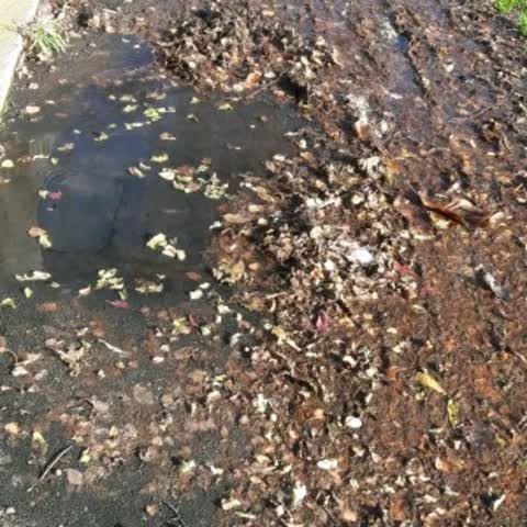 Water Supply, a report photo