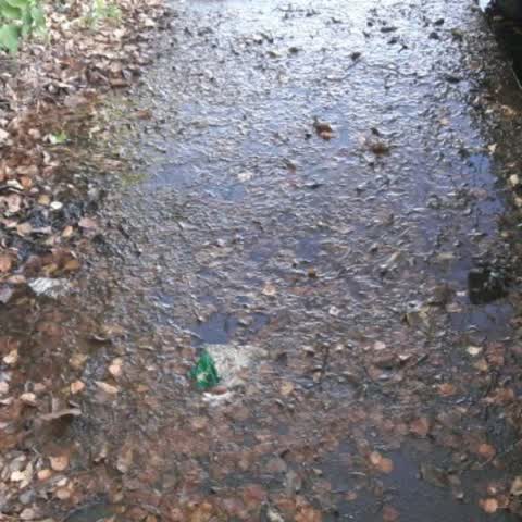 Water Supply, a report photo