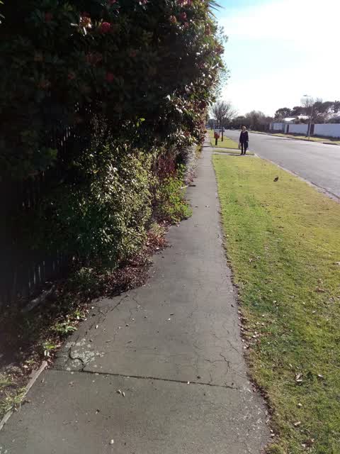 Roading/Streets, a report photo