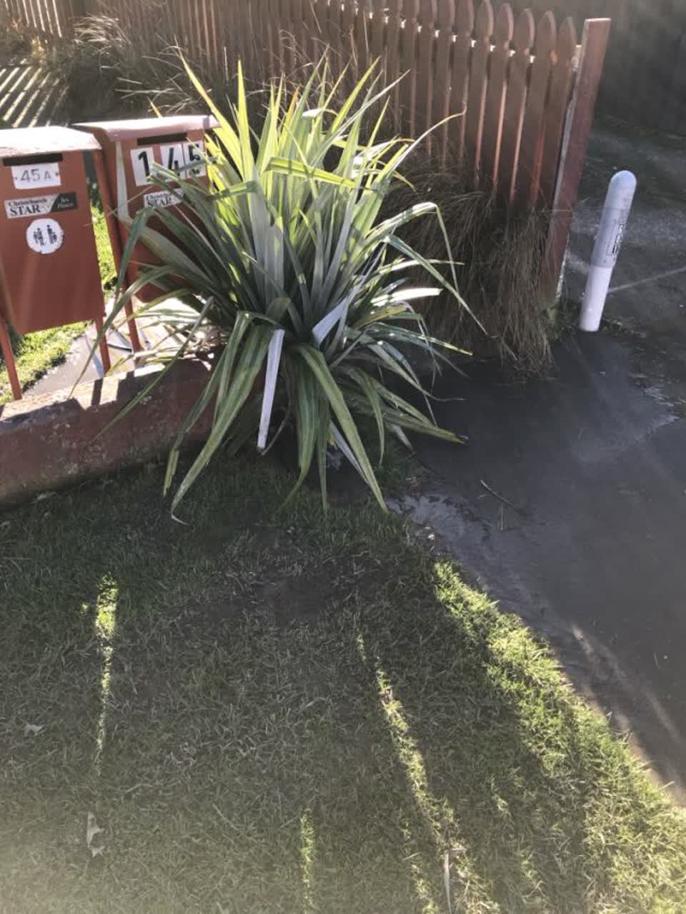 The photograph attached to this water supply report