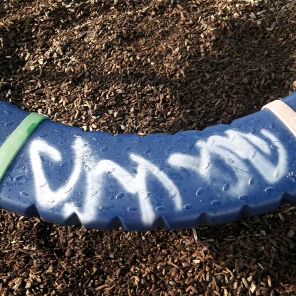 The photograph attached to this parks report