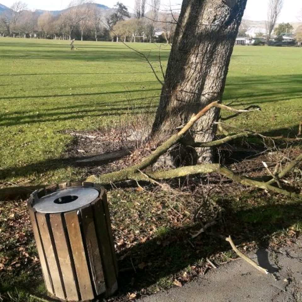 The photograph attached to this rubbish/recycling report