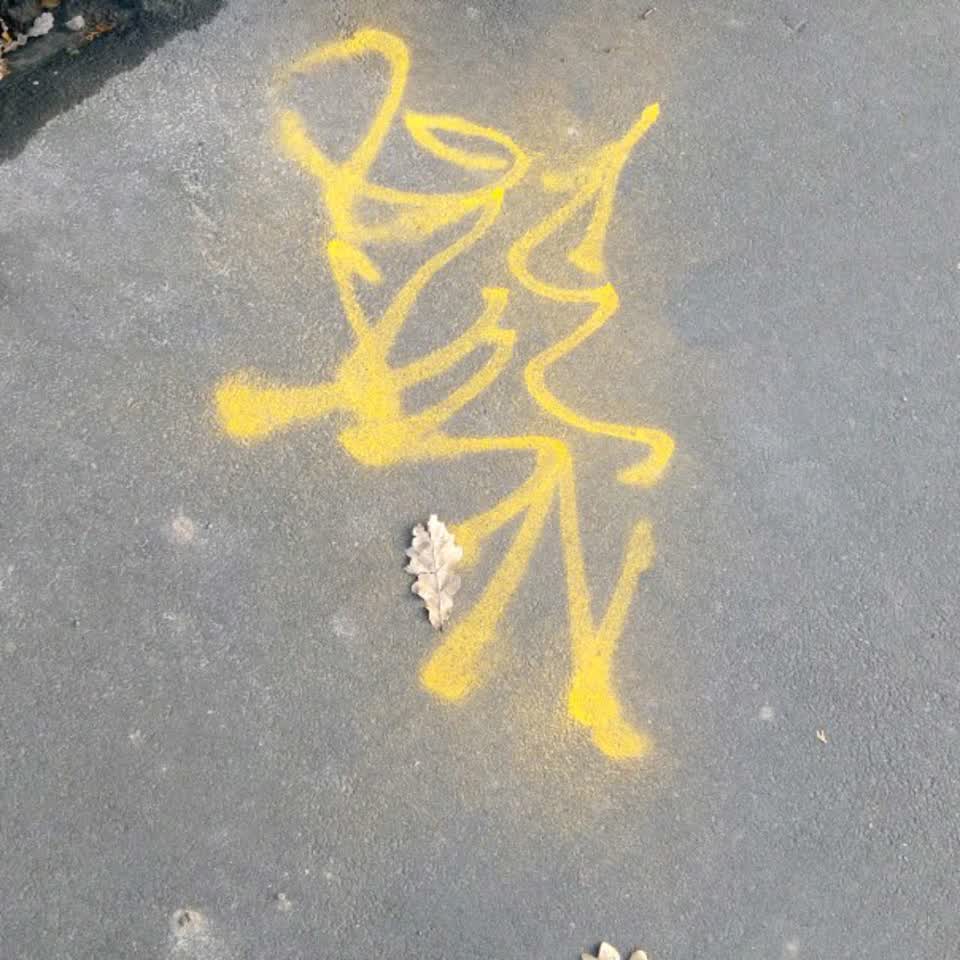 The photograph attached to this graffiti report