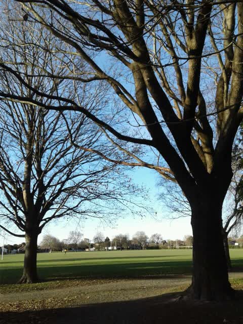 Parks, a report photo