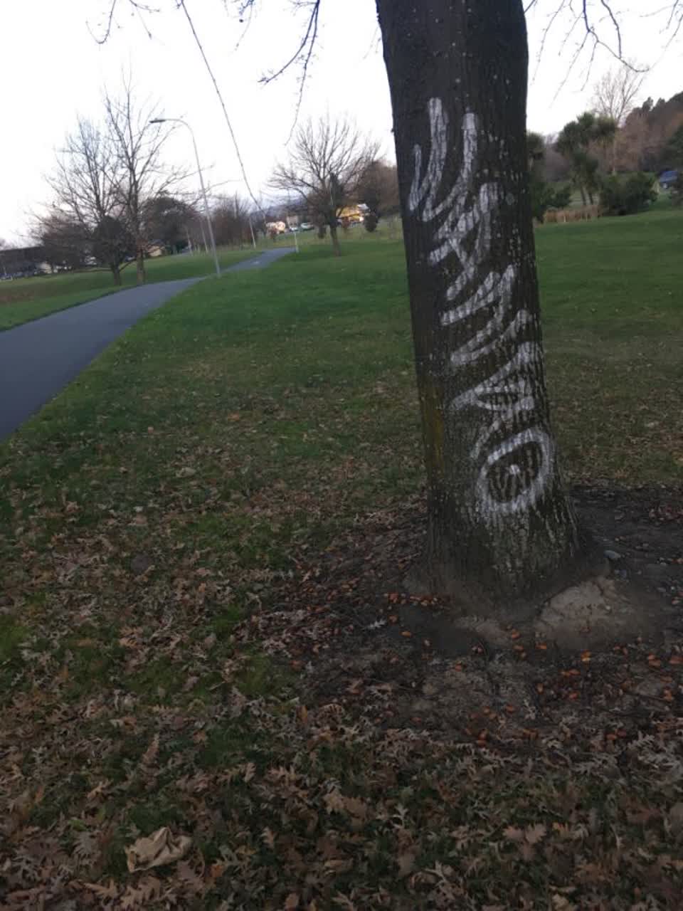 The photograph attached to this graffiti report