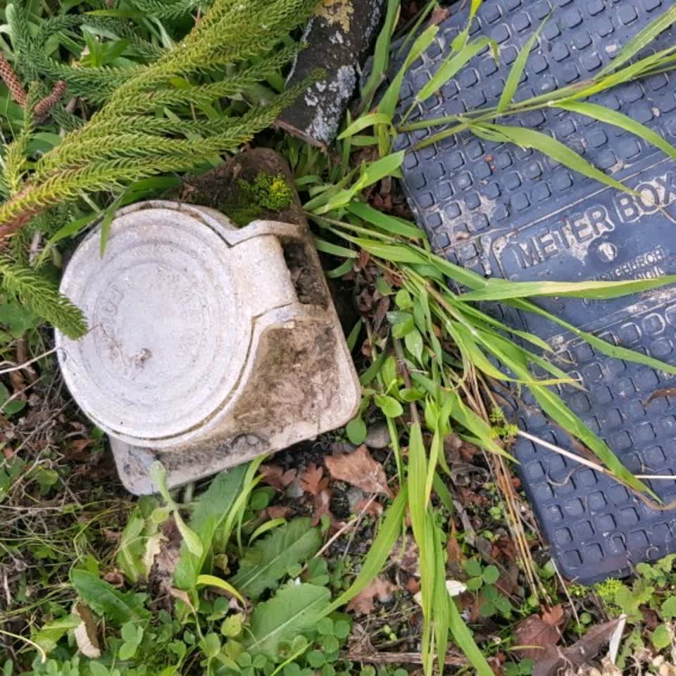The photograph attached to this water supply report