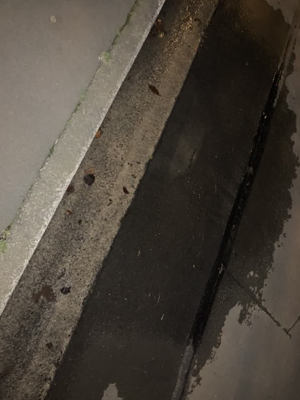 The photograph attached to this water supply report