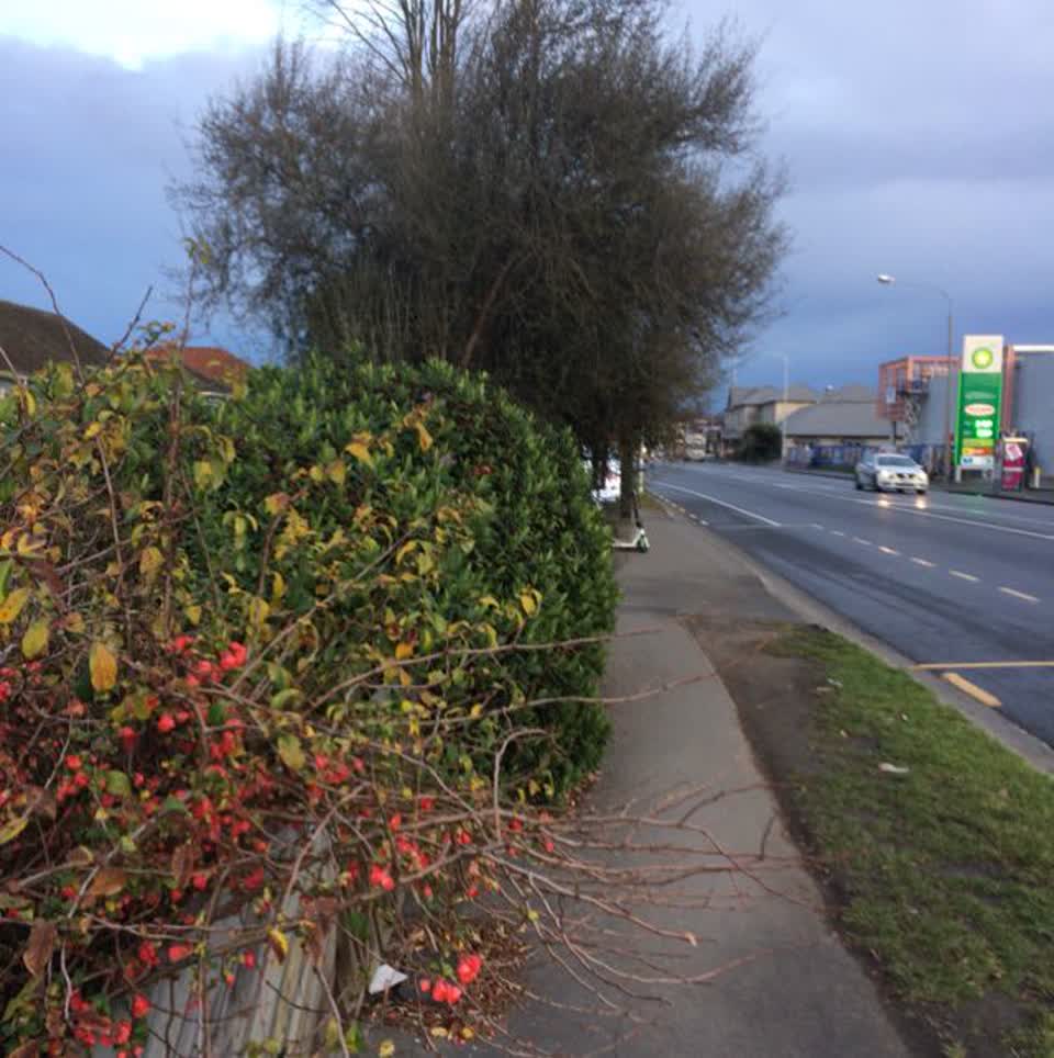The photograph attached to this roading/streets report