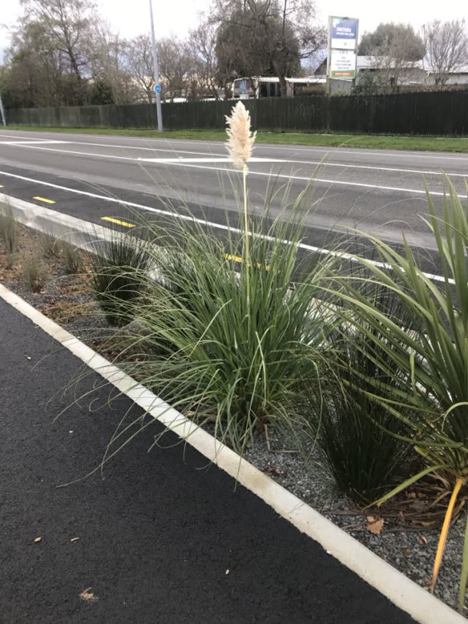 The photograph attached to this parks report