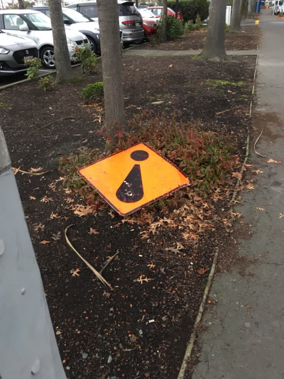 The photograph attached to this roading/streets report