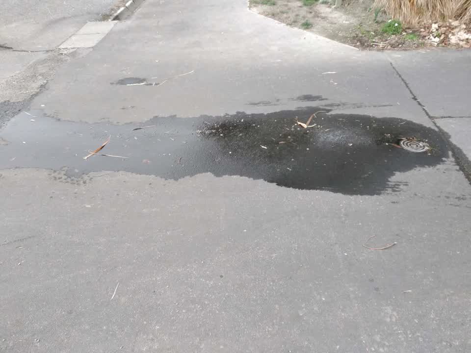 The photograph attached to this water supply report