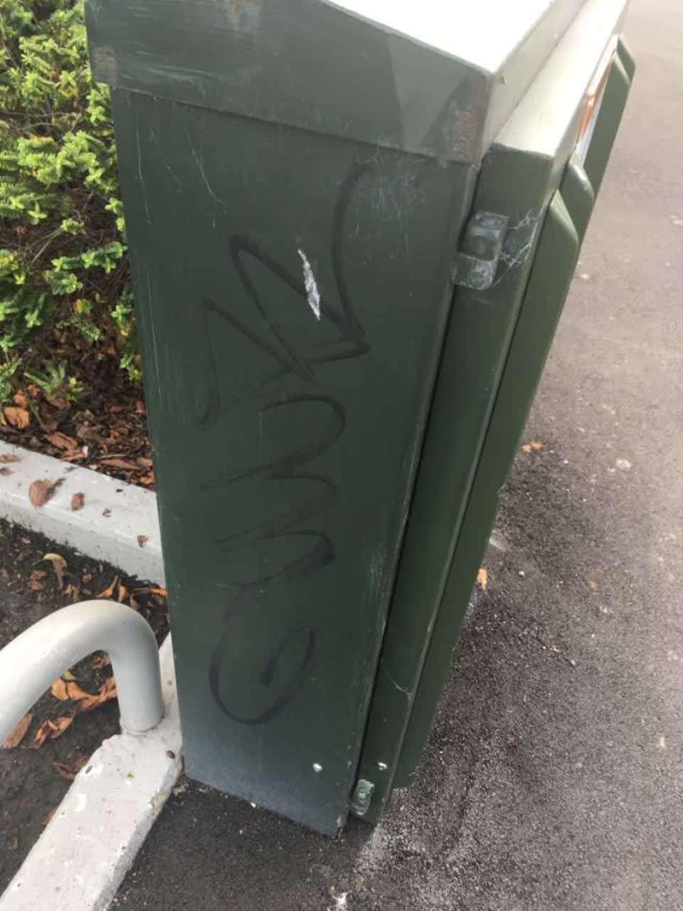 The photograph attached to this graffiti report