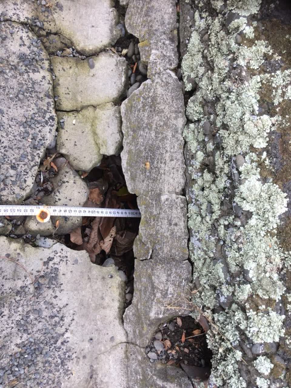 The photograph attached to this roading/streets report