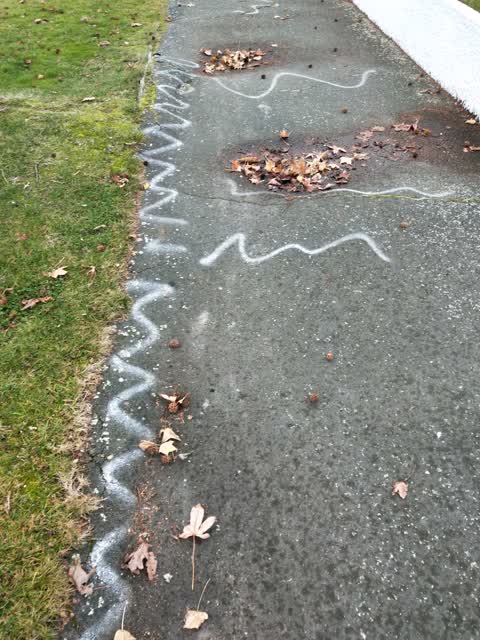 Roading/Streets, a report photo