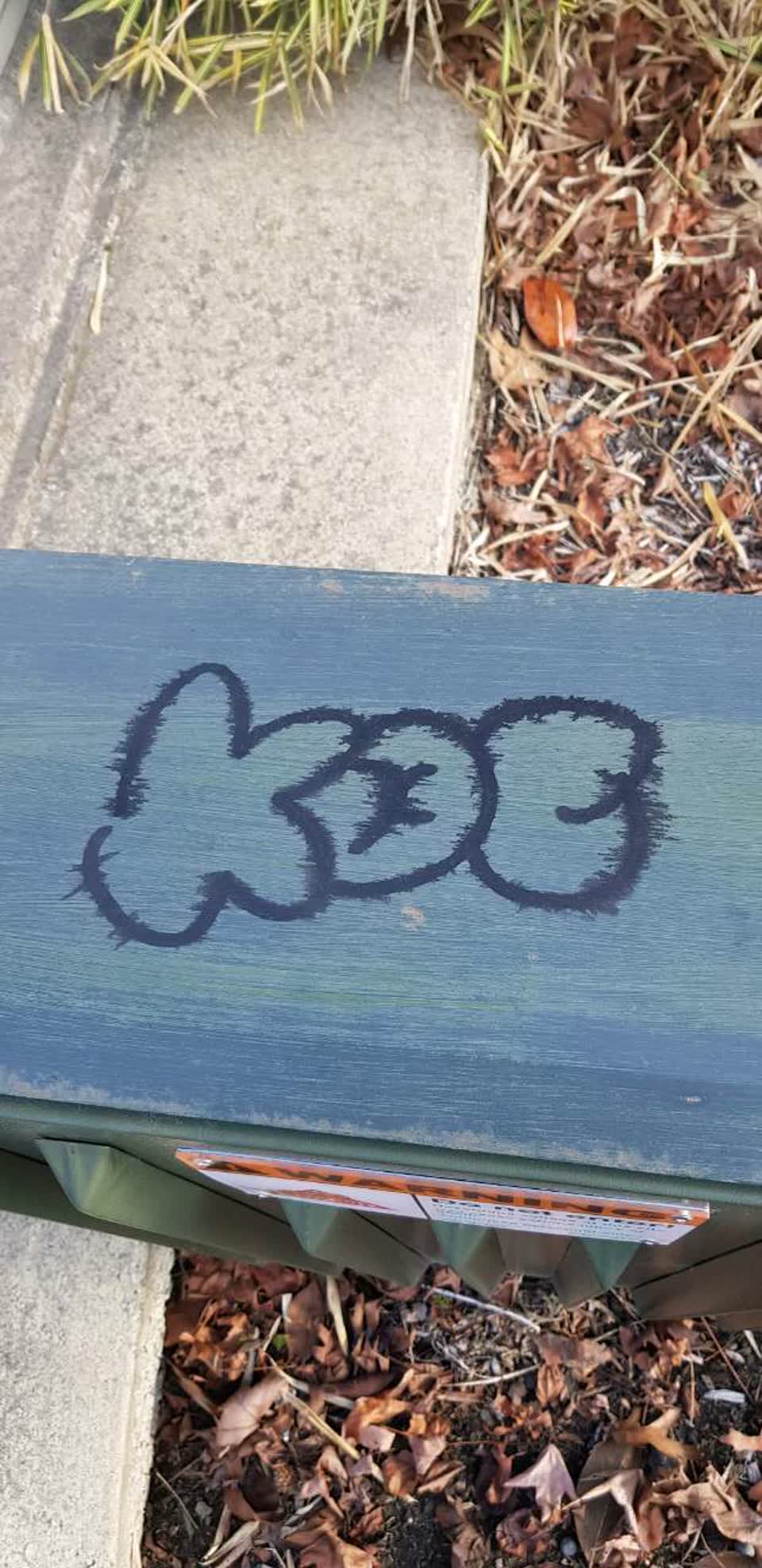 The photograph attached to this graffiti report
