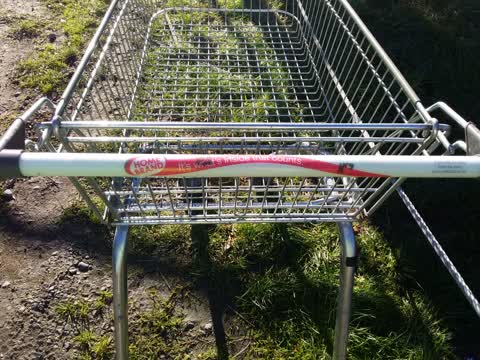 Rubbish/Recycling, a report photo
