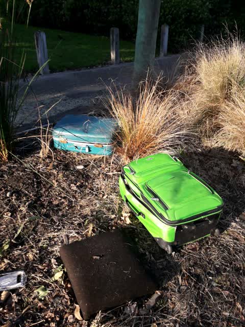 Rubbish/Recycling, a report photo