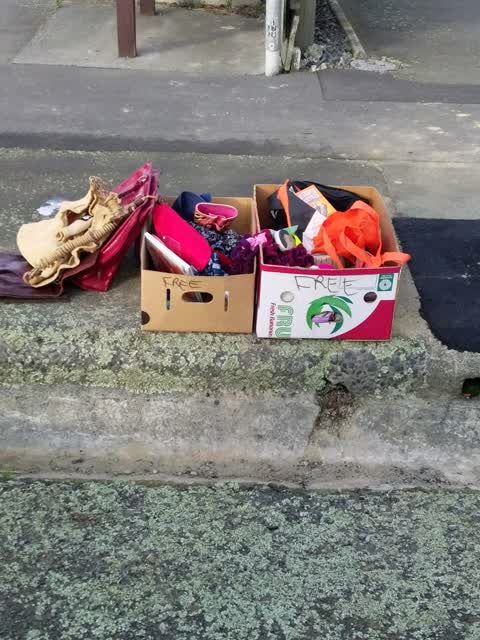 Rubbish/Recycling, a report photo