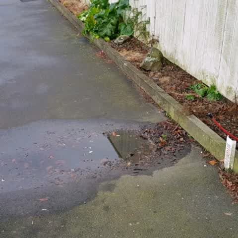 Water Supply, a report photo