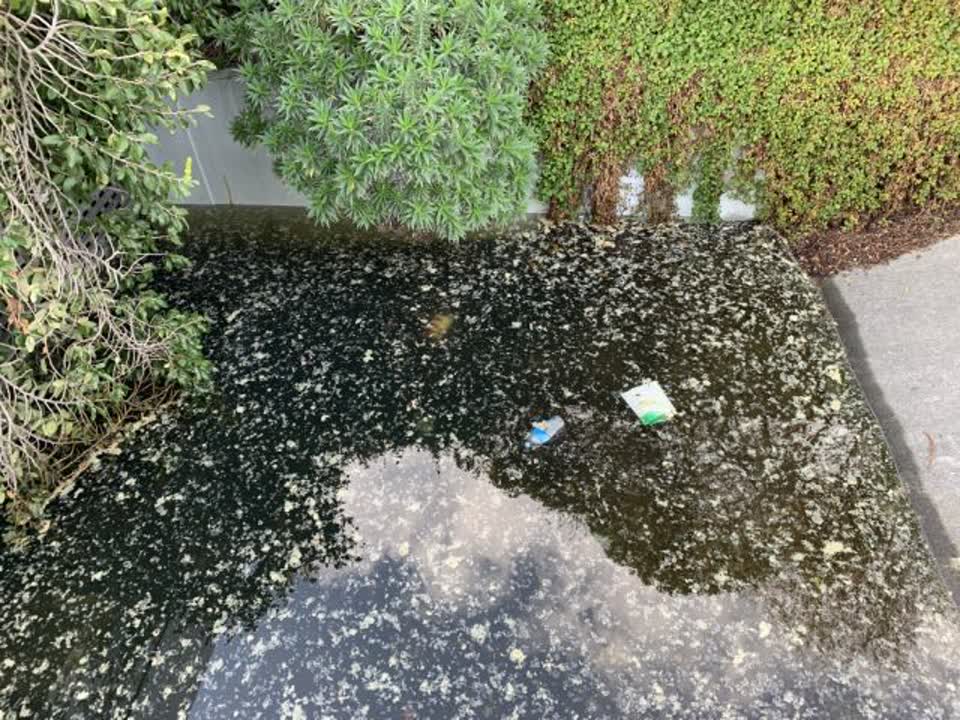 The photograph attached to this flooding report