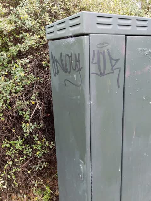 Graffiti, a report photo