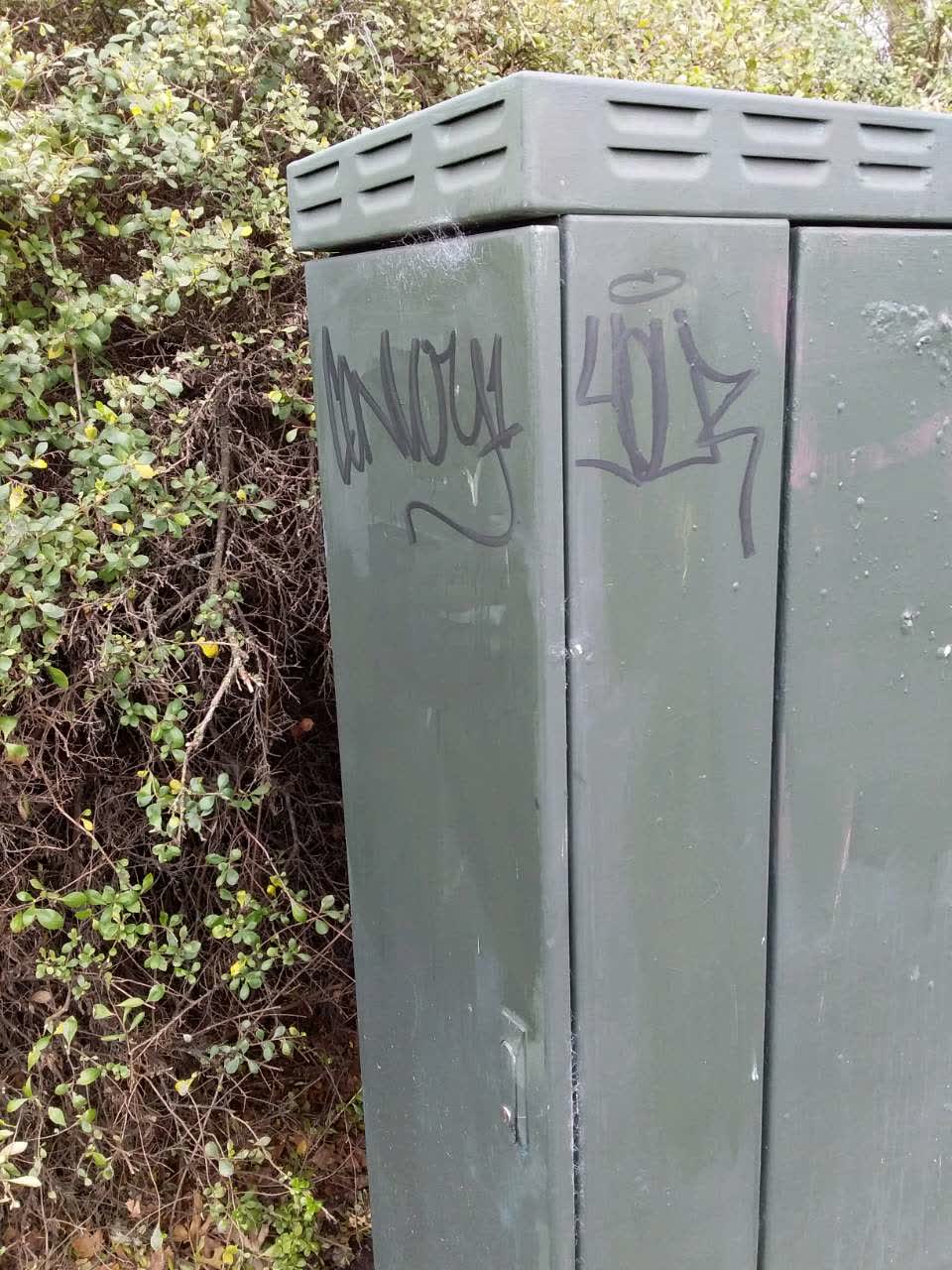 The photograph attached to this graffiti report