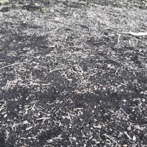 Parks, a report photo
