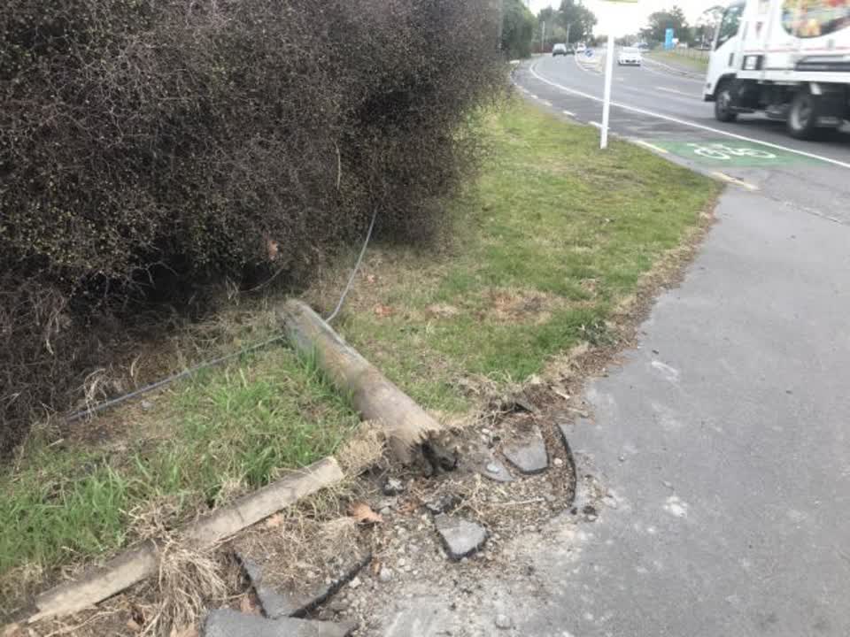 The photograph attached to this parks report