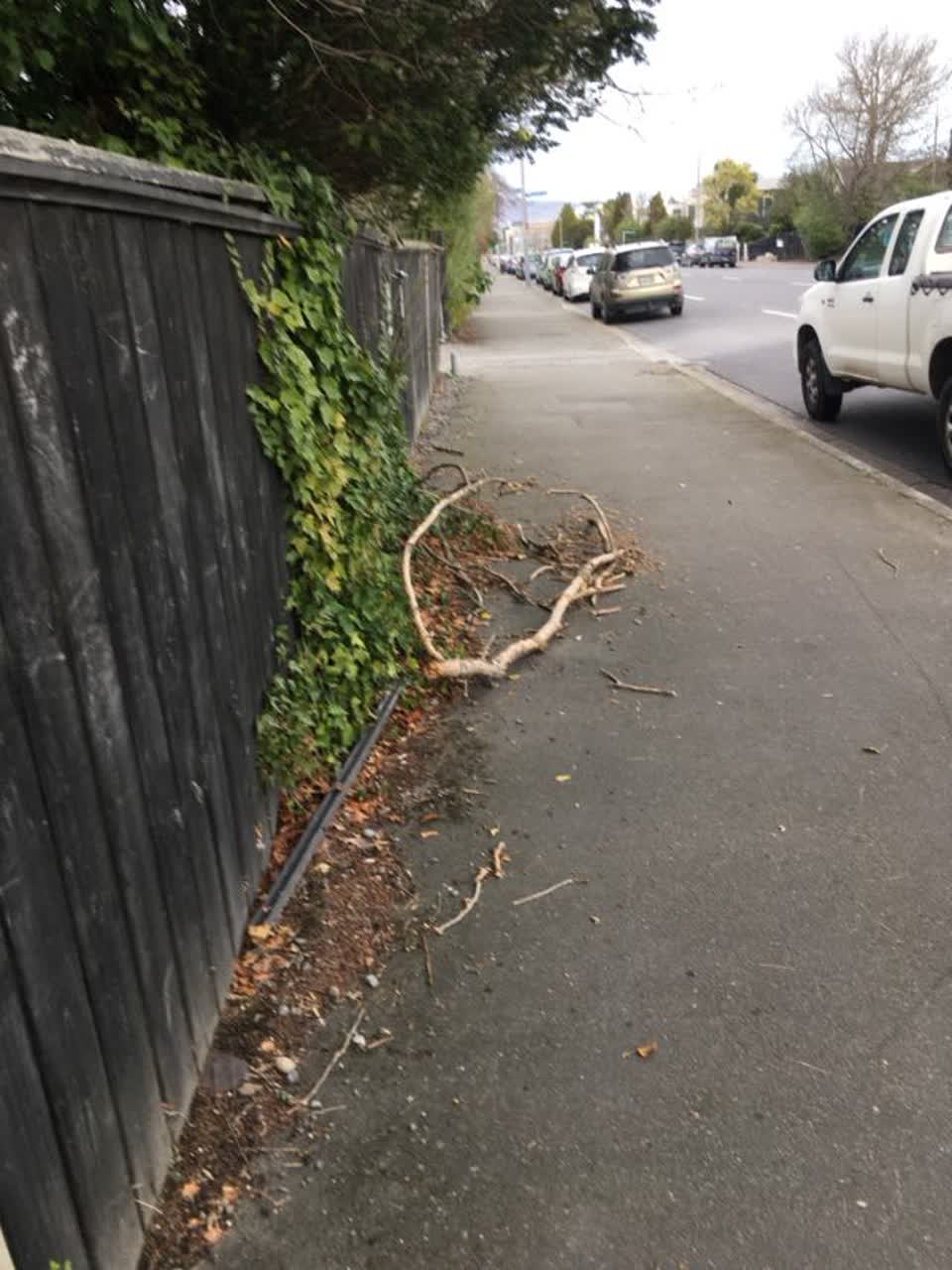 The photograph attached to this roading/streets report
