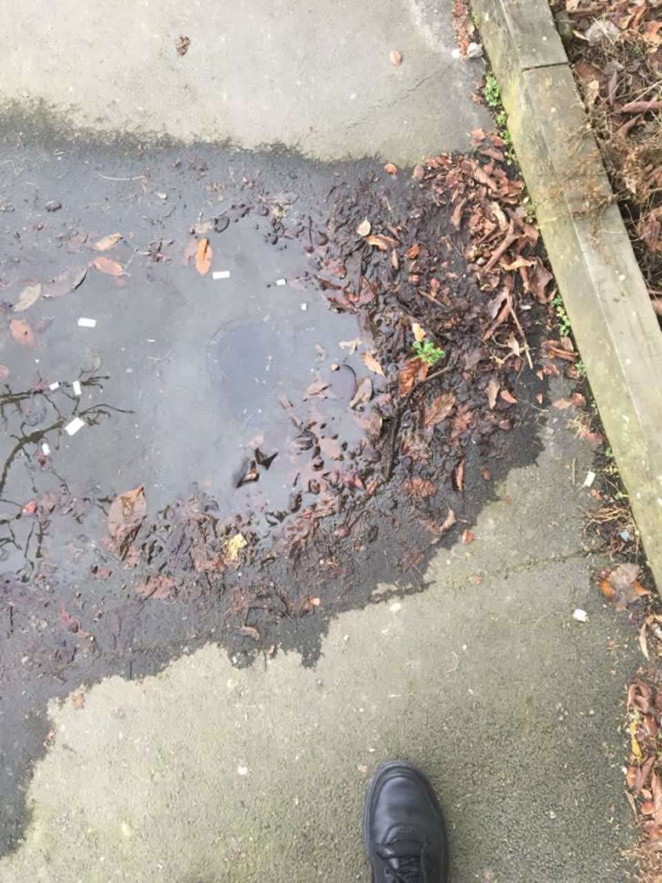 The photograph attached to this water supply report