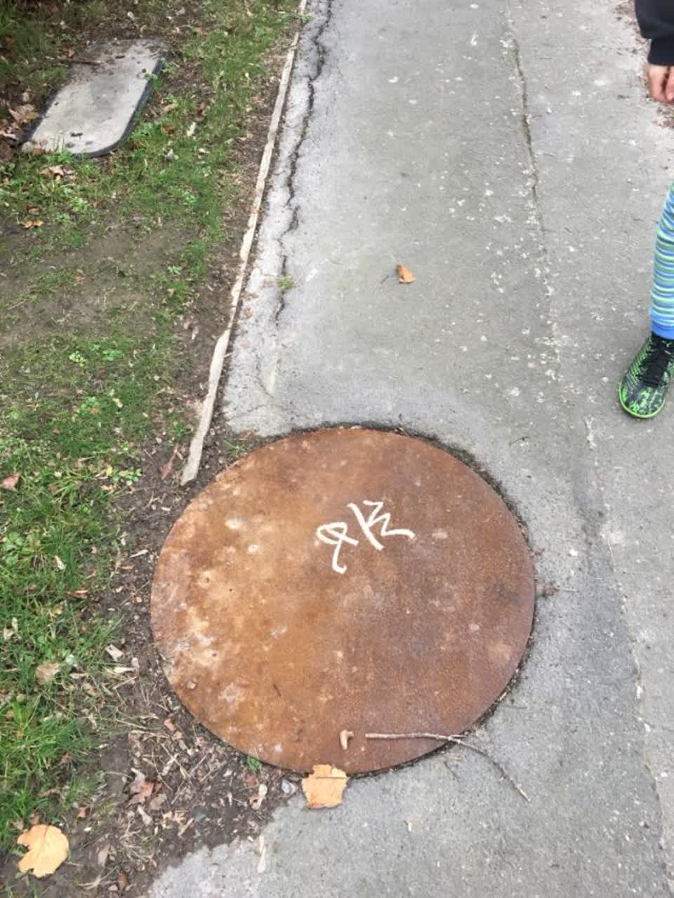 The photograph attached to this parks report