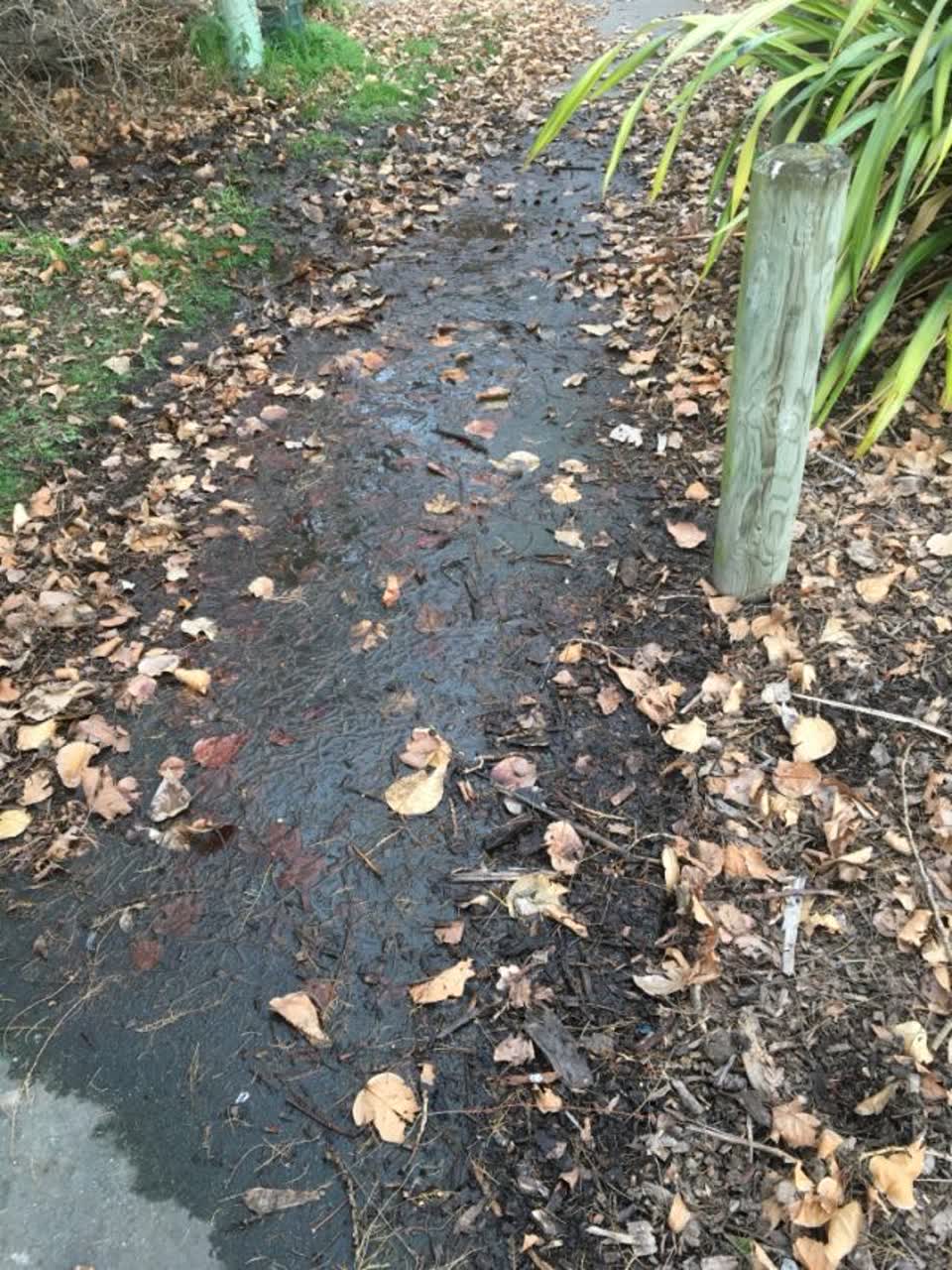 The photograph attached to this wastewater/stormwater report