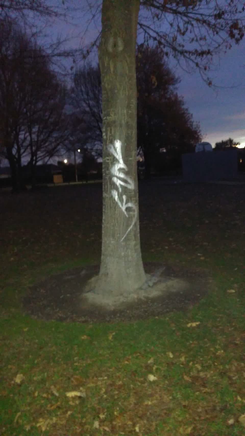 The photograph attached to this graffiti report