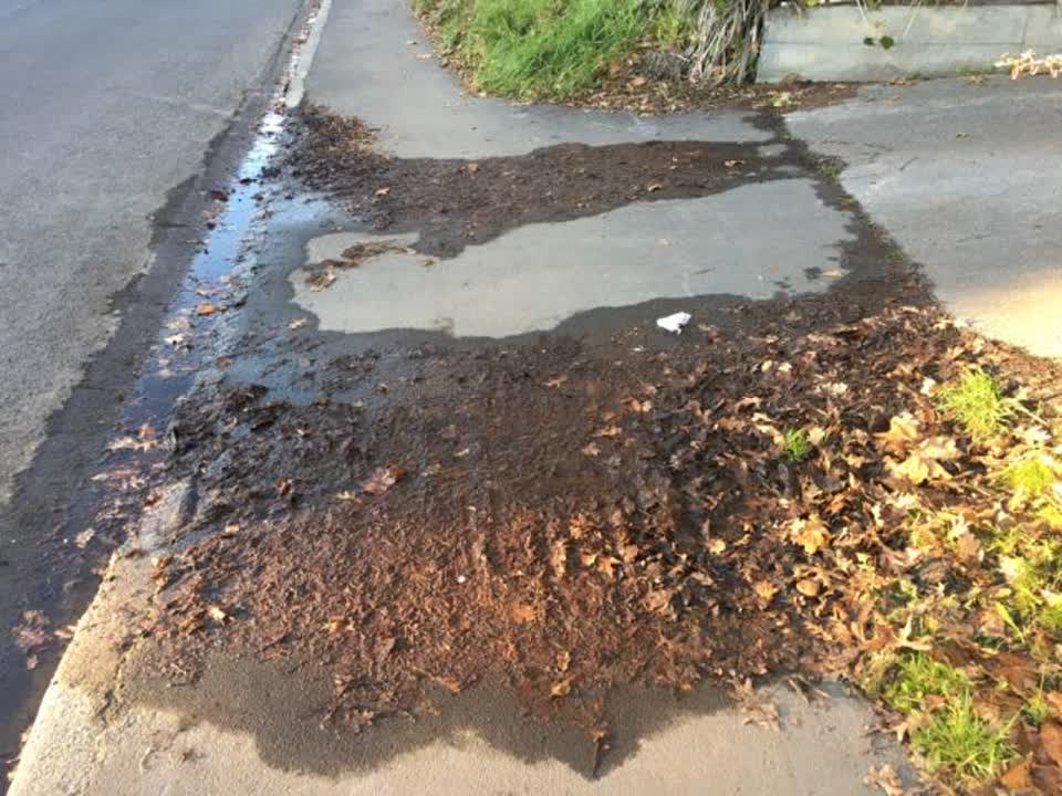 The photograph attached to this roading/streets report