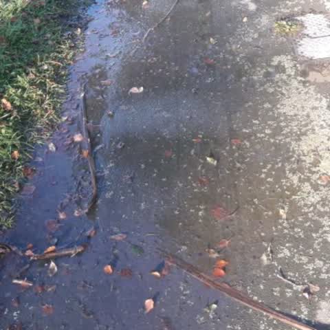 Water Supply, a report photo