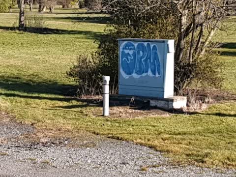 Graffiti — a report photo