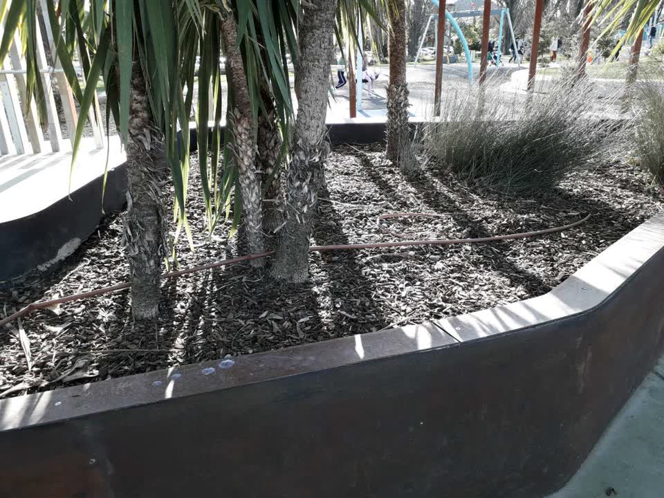 The photograph attached to this parks report