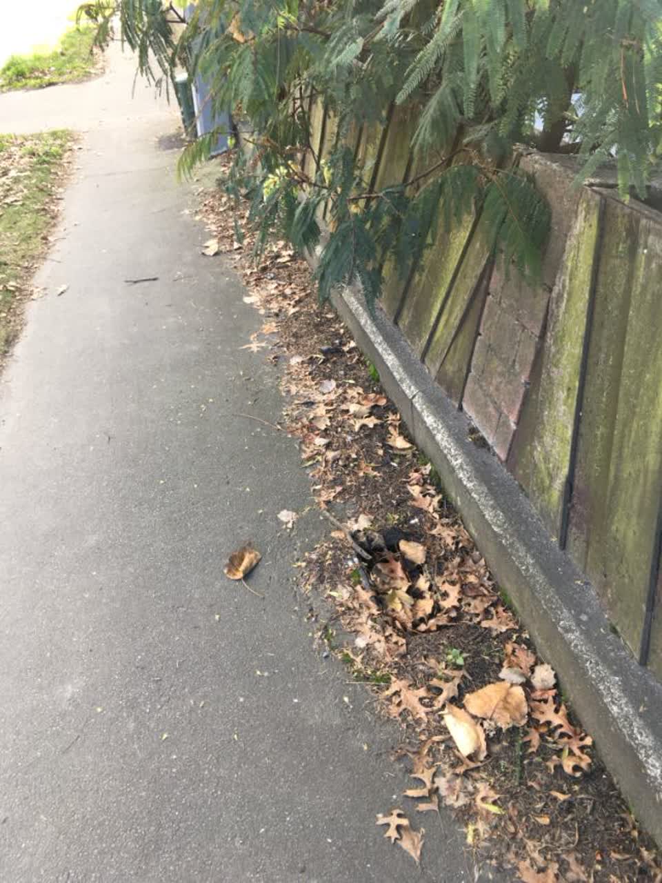 The photograph attached to this roading/streets report
