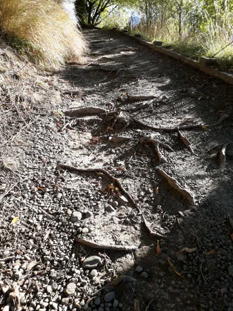 Parks, a report photo