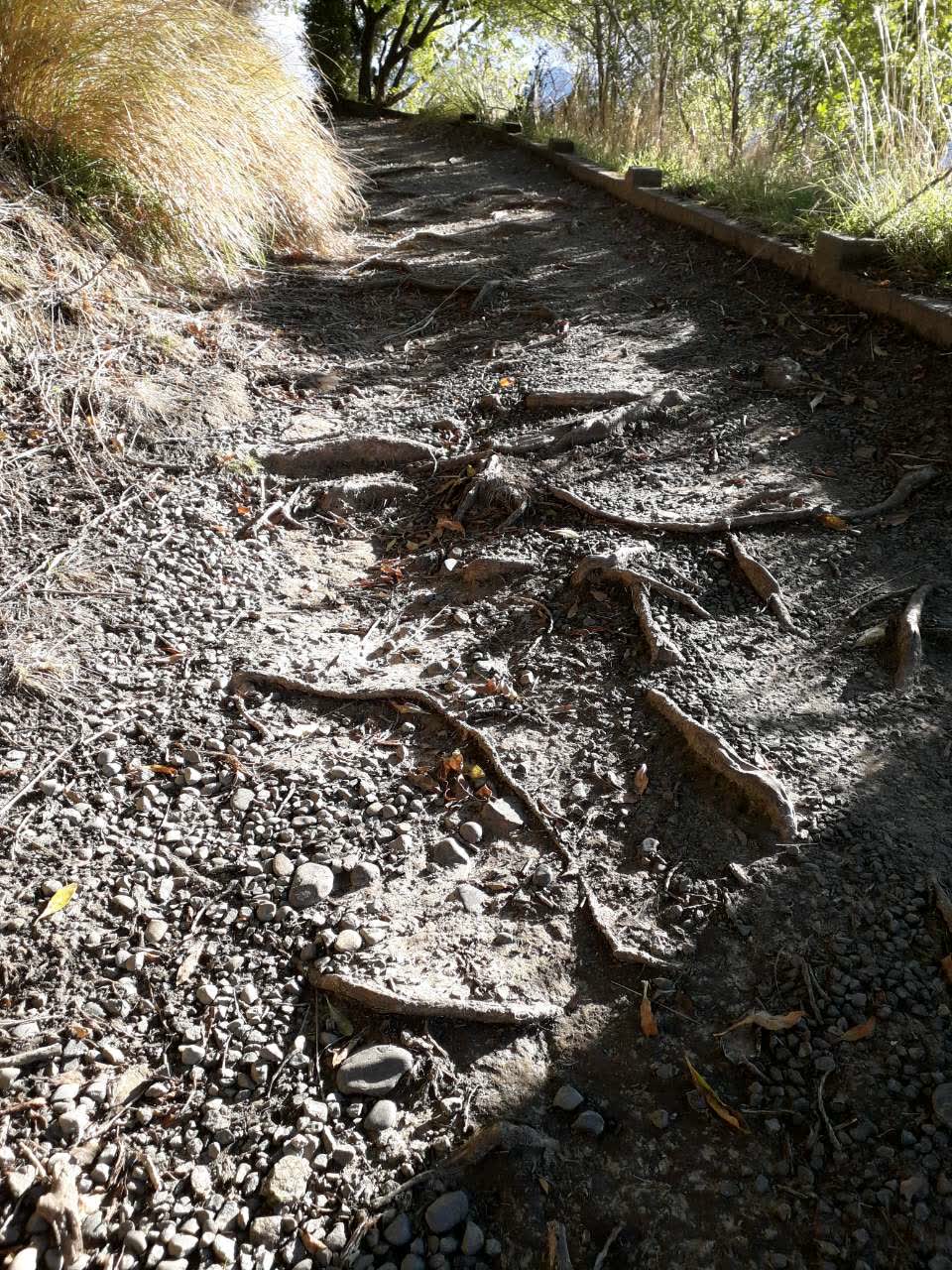 The photograph attached to this parks report