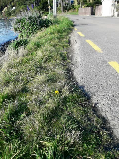 Roading/Streets — a report photo