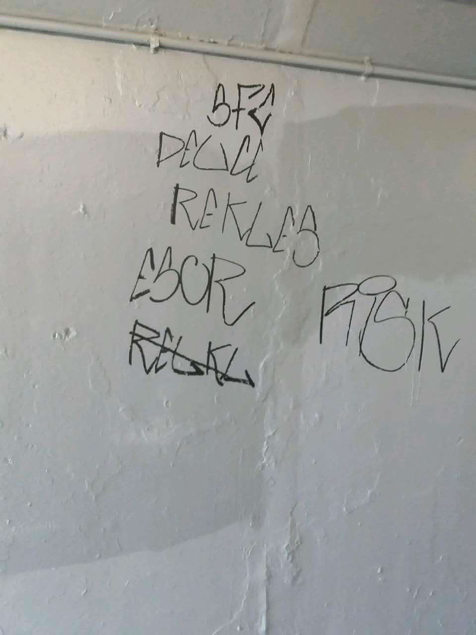 The photograph attached to this graffiti report