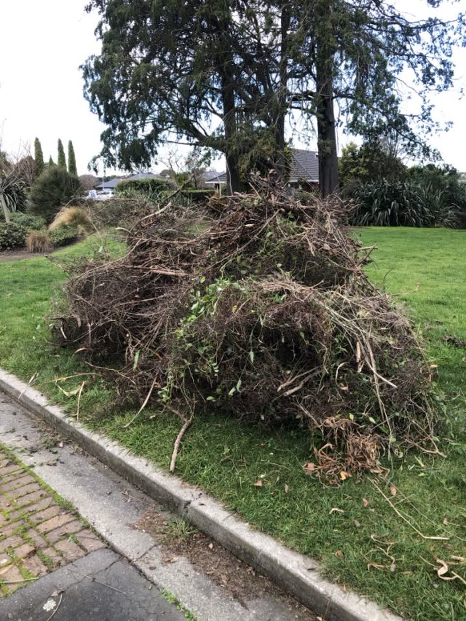The photograph attached to this rubbish/recycling report